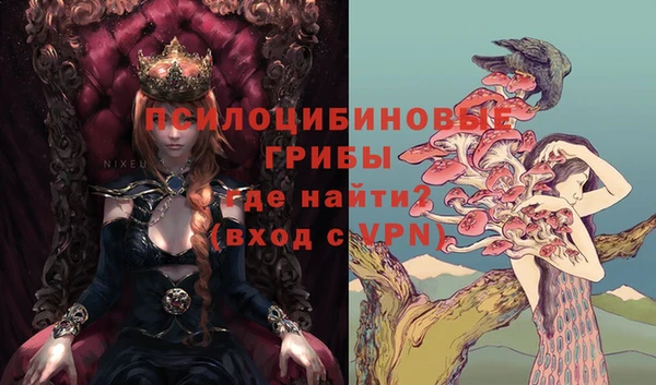 MDMA Premium VHQ Аркадак