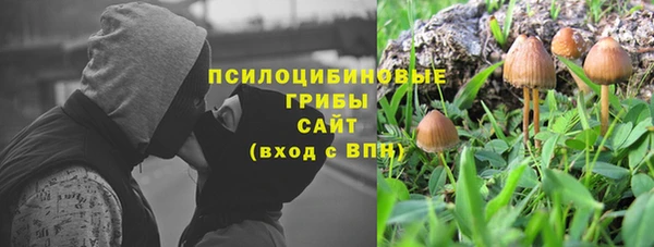 спиды Арсеньев