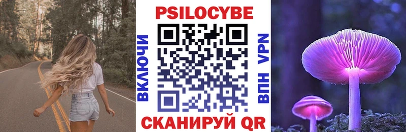Галлюциногенные грибы Psilocybe Купить где Спасск
